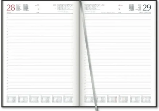 Bissolo Casa Zaini, Astucci E Diari Diari E Agende<AGENDA GIORNALIERA 21X29,7CM NOLI: vendita online AGENDA GIORNALIERA 21X29,7CM NOLI in offerta