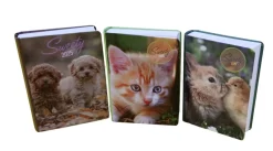 Bissolo Casa Zaini, Astucci E Diari Diari E Agende<AGENDA GIORNALIERA 7X10CM SWEETY: vendita online AGENDA GIORNALIERA 7X10CM SWEETY in offerta