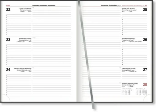 Bissolo Casa Zaini, Astucci E Diari Diari E Agende<AGENDA SETTIMANALE 17X24CM WALL: vendita online AGENDA SETTIMANALE 17X24CM WALL in offerta