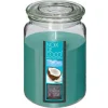 Bissolo Casa Candele<CANDELA IN VETRO COCCO 510GR: vendita online CANDELA IN VETRO COCCO 510GR in offerta