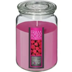 Bissolo Casa Candele<CANDELA PROFUMATA AL LAMPONE 510GR 10X14.5CM IN BARATTOLO DI VETRO: vendita online CANDELA PROFUMATA AL LAMPONE 510GR 10X14.5CM IN BARATTOLO DI VETRO in offerta