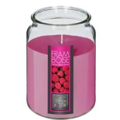 Bissolo Casa Candele<CANDELA PROFUMATA AL LAMPONE 510GR 10X14.5CM IN BARATTOLO DI VETRO: vendita online CANDELA PROFUMATA AL LAMPONE 510GR 10X14.5CM IN BARATTOLO DI VETRO in offerta