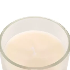 Bissolo Casa Candele<CANDELA PROFUMATA FLOA IN BARATTOLO DI VETRO 115GR AMBRA: vendita online CANDELA PROFUMATA FLOA IN BARATTOLO DI VETRO 115GR AMBRA in offerta