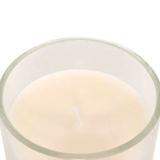 Bissolo Casa Candele<CANDELA PROFUMATA FLOA IN BARATTOLO DI VETRO 115GR AMBRA: vendita online CANDELA PROFUMATA FLOA IN BARATTOLO DI VETRO 115GR AMBRA in offerta
