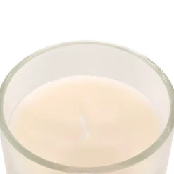 Bissolo Casa Candele<CANDELA PROFUMATA FLOA IN BARATTOLO DI VETRO 115GR PESCA: vendita online CANDELA PROFUMATA FLOA IN BARATTOLO DI VETRO 115GR PESCA in offerta