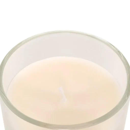 Bissolo Casa Candele<CANDELA PROFUMATA FLOA IN BARATTOLO DI VETRO 115GR PESCA: vendita online CANDELA PROFUMATA FLOA IN BARATTOLO DI VETRO 115GR PESCA in offerta