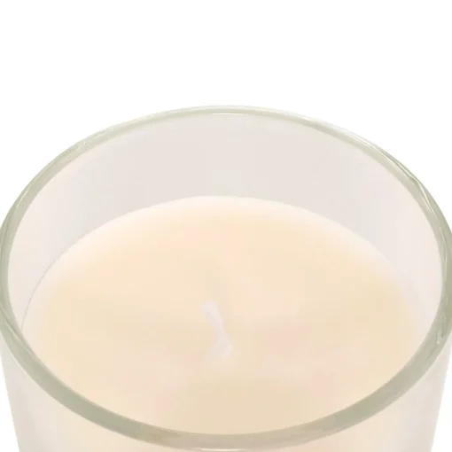 Bissolo Casa Candele<CANDELA PROFUMATA FLOA IN BARATTOLO DI VETRO 115GR VANIGLIA: vendita online CANDELA PROFUMATA FLOA IN BARATTOLO DI VETRO 115GR VANIGLIA in offerta