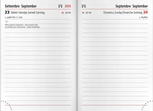 Bissolo Casa Zaini, Astucci E Diari Diari E Agende<CANGINI FILIPPI - AGENDA GIORNALIERA DYNALUX 6,5X10 CM ASSORTITO : vendita online CANGINI FILIPPI - AGENDA GIORNALIERA DYNALUX 6,5X10 CM ASSORTITO in offerta