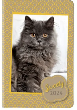 Bissolo Casa Zaini, Astucci E Diari Diari E Agende<CANGINI FILIPPI - AGENDA GIORNALIERA SWEETY 11X16.5CM ASSORTITA: vendita online CANGINI FILIPPI - AGENDA GIORNALIERA SWEETY 11X16.5CM ASSORTITA in offerta
