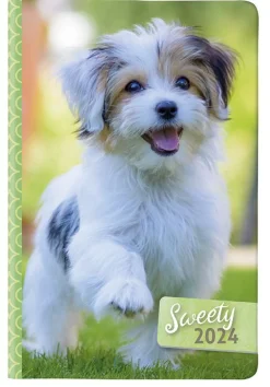 Bissolo Casa Zaini, Astucci E Diari Diari E Agende<CANGINI FILIPPI - AGENDA GIORNALIERA SWEETY 11X16.5CM ASSORTITA: vendita online CANGINI FILIPPI - AGENDA GIORNALIERA SWEETY 11X16.5CM ASSORTITA in offerta