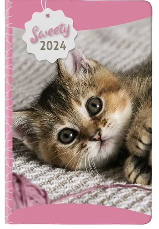 Bissolo Casa Zaini, Astucci E Diari Diari E Agende<CANGINI FILIPPI - AGENDA GIORNALIERA SWEETY 11X16.5CM ASSORTITA: vendita online CANGINI FILIPPI - AGENDA GIORNALIERA SWEETY 11X16.5CM ASSORTITA in offerta