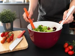 Bissolo Casa Piatti Insalatiere E Terrine<CIOTOLA LINEA PILE DMALL DIAM. CM 22 IN MELAMINA ROSSO CILIEGIA