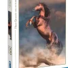 Bissolo Casa Puzzle 500 Pezzi<CLEMENTONI HQC - PUZZLE 500 PEZZI WILD RED STALLION: vendita online CLEMENTONI HQC - PUZZLE 500 PEZZI WILD RED STALLION in offerta