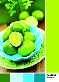 Bissolo Casa Puzzle 1000 Pezzi<CLEMENTONI PANTONE - PUZZLE 1000 PEZZI JUICY LEMONS: vendita online CLEMENTONI PANTONE - PUZZLE 1000 PEZZI JUICY LEMONS in offerta