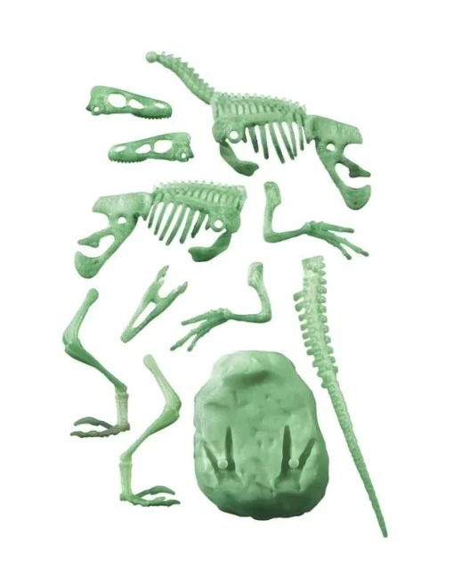 Bissolo Casa Giochi Educativi Da 6 A 10 Anni<CLEMENTONI SCIENZA E GIOCO - ARCHEGIOCANDO VELOCIRAPTOR: vendita online CLEMENTONI SCIENZA E GIOCO - ARCHEGIOCANDO VELOCIRAPTOR in offerta