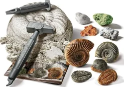Bissolo Casa Giochi Educativi Da 6 A 10 Anni<CLEMENTONI SCIENZA E GIOCO - DIG KIT FOSSILI E MINERALI: vendita online CLEMENTONI SCIENZA E GIOCO - DIG KIT FOSSILI E MINERALI in offerta