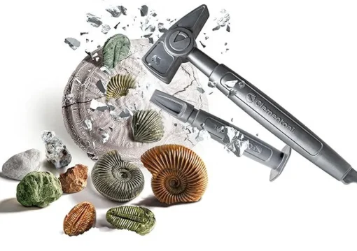 Bissolo Casa Giochi Educativi Da 6 A 10 Anni<CLEMENTONI SCIENZA E GIOCO - DIG KIT FOSSILI E MINERALI: vendita online CLEMENTONI SCIENZA E GIOCO - DIG KIT FOSSILI E MINERALI in offerta