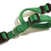 Bissolo Casa Accessori Guinzagli<COLLARE SGANCIO REGOLABILE 18MM VERDE: vendita online COLLARE SGANCIO REGOLABILE 18MM VERDE in offerta