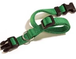 Bissolo Casa Accessori Guinzagli<COLLARE SGANCIO REGOLABILE 18MM VERDE: vendita online COLLARE SGANCIO REGOLABILE 18MM VERDE in offerta