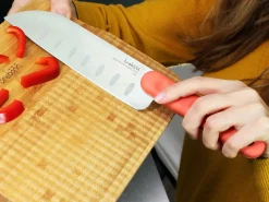 Bissolo Casa Posate Coltelli<COLTELLO DA CUCINA SANTOKU KNIFE IN ACCIAO INOX MANICO ARANCIO