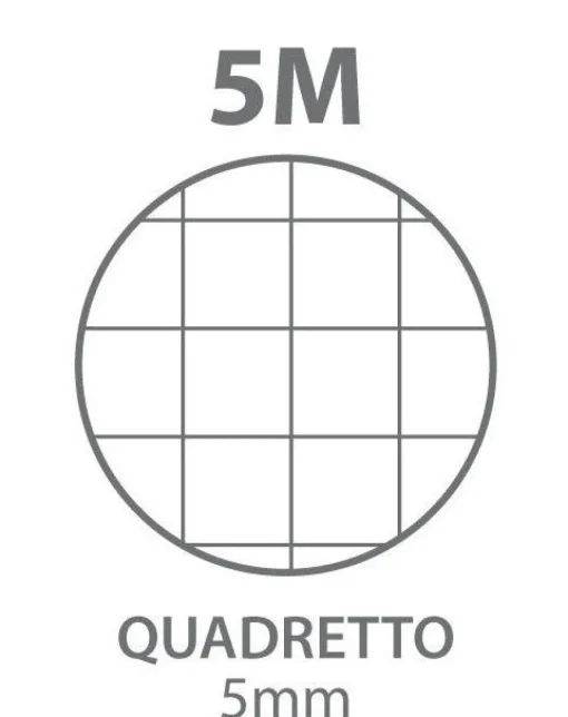 Bissolo Casa Quaderni E Blocchi Ricambi<CONFEZIONE 20 FOGLI PROTOCOLLO A4 QUADRETTI 5MM : vendita online CONFEZIONE 20 FOGLI PROTOCOLLO A4 QUADRETTI 5MM in offerta