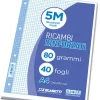 Bissolo Casa Quaderni E Blocchi Ricambi<CONFEZIONE 40 FOGLI RICAMBI RINFORZATI A5 QUADRETTI: vendita online CONFEZIONE 40 FOGLI RICAMBI RINFORZATI A5 QUADRETTI in offerta
