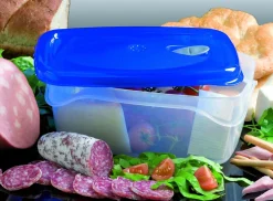 Bissolo Casa Conservazione Cibi Contenitori<CONTENITORE FRESKA IN PLASTICA 29.6X21.5X11.7CM 5LT