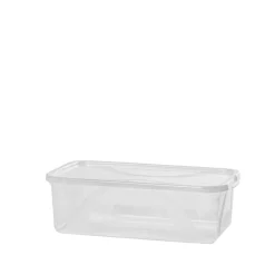 Bissolo Casa Cambio Stagione Contenitori<CONTENITORE LONA IN PLASTICA TRASPARENTE 34.4X20.2 H. 10.6CM 5LT: vendita online CONTENITORE LONA IN PLASTICA TRASPARENTE 34.4X20.2 H. 10.6CM 5LT in offerta