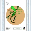 Bissolo Casa Porta Foto E Cornici Cornici<CORNICE DURAN IN LEGNO E CRILEX BLU 30X40CM: vendita online CORNICE DURAN IN LEGNO E CRILEX BLU 30X40CM in offerta