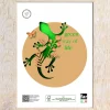 Bissolo Casa Porta Foto E Cornici Cornici<CORNICE WARREN IN LEGNO E CRILEX BIANCA 30X40CM : vendita online CORNICE WARREN IN LEGNO E CRILEX BIANCA 30X40CM in offerta