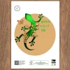 Bissolo Casa Porta Foto E Cornici Cornici<CORNICE WARREN IN LEGNO E CRILEX NOCE 35X50CM: vendita online CORNICE WARREN IN LEGNO E CRILEX NOCE 35X50CM in offerta