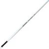 Bissolo Casa Pittura E Accessori Pennelli<DALER ROWNEY - PENNELLO LINGUA DI GATTO MANICO LUNGO GRADAUATE N. 1: vendita online DALER ROWNEY - PENNELLO LINGUA DI GATTO MANICO LUNGO GRADAUATE N. 1 in offerta