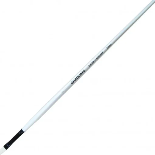 Bissolo Casa Pittura E Accessori Pennelli<DALER ROWNEY - PENNELLO LINGUA DI GATTO MANICO LUNGO GRADAUATE N. 1: vendita online DALER ROWNEY - PENNELLO LINGUA DI GATTO MANICO LUNGO GRADAUATE N. 1 in offerta