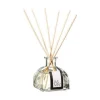 Bissolo Casa Deodoranti Per Ambiente<DIFFUSORE 100ML CON BASTONCINI: vendita online DIFFUSORE 100ML CON BASTONCINI in offerta