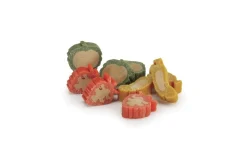 Bissolo Casa Cibi Cane<ENZYFRUITS 100GR: vendita online ENZYFRUITS 100GR in offerta