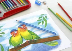 Bissolo Casa Colori A Matita Matite In Blister<FABER CASTELL - ASTUCCIO 18+4 MATITE COLORATE BRVG + 2 MATITE IN GRAFITE: vendita online FABER CASTELL - ASTUCCIO 18+4 MATITE COLORATE BRVG + 2 MATITE IN GRAFITE in offerta