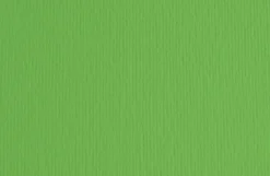 Bissolo Casa Carta<FABRIANO - CARTONCINO ELLE ERRE 50X70CM VERDE: vendita online FABRIANO - CARTONCINO ELLE ERRE 50X70CM VERDE in offerta