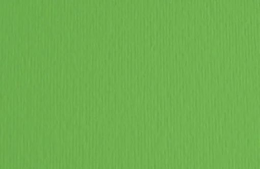 Bissolo Casa Carta<FABRIANO - CARTONCINO ELLE ERRE 50X70CM VERDE: vendita online FABRIANO - CARTONCINO ELLE ERRE 50X70CM VERDE in offerta