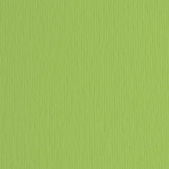 Bissolo Casa Carta<FABRIANO - CARTONCINO ELLE ERRE 50X70CM VERDE PISELLO : vendita online FABRIANO - CARTONCINO ELLE ERRE 50X70CM VERDE PISELLO in offerta