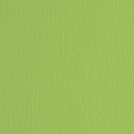 Bissolo Casa Carta<FABRIANO - CARTONCINO ELLE ERRE 50X70CM VERDE PISELLO : vendita online FABRIANO - CARTONCINO ELLE ERRE 50X70CM VERDE PISELLO in offerta