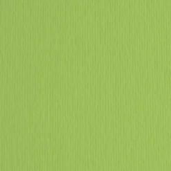 Bissolo Casa Carta<FABRIANO - CARTONCINO ELLE ERRE 70X100CM VERDE PISELLO: vendita online FABRIANO - CARTONCINO ELLE ERRE 70X100CM VERDE PISELLO in offerta