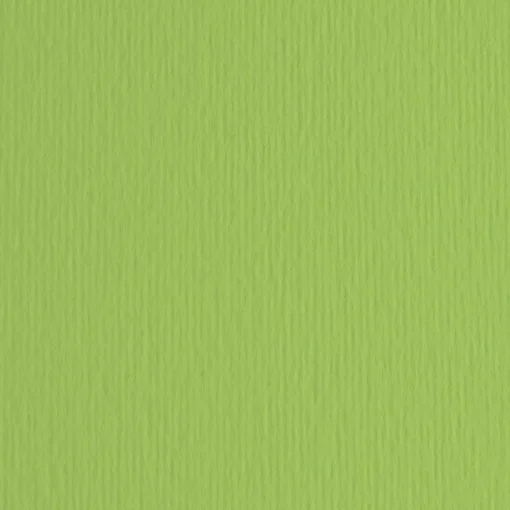 Bissolo Casa Carta<FABRIANO - CARTONCINO ELLE ERRE 70X100CM VERDE PISELLO: vendita online FABRIANO - CARTONCINO ELLE ERRE 70X100CM VERDE PISELLO in offerta