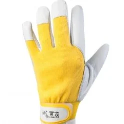 Bissolo Casa Guanti Da Lavoro<GUANTI IN PELLE DI SUINO E DORSO IN MAGLIA DI COTONE, CHIUSURA A STRAPPO, TAGLIA 8: vendita online GUANTI IN PELLE DI SUINO E DORSO IN MAGLIA DI COTONE, CHIUSURA A STRAPPO, TAGLIA 8 in offerta