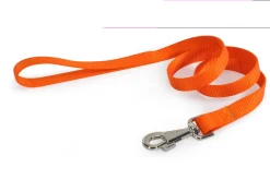 Bissolo Casa Accessori Guinzagli<GUINZAGLIO NYLON MM25X1000 ARANCIONE: vendita online GUINZAGLIO NYLON MM25X1000 ARANCIONE in offerta
