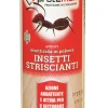 Bissolo Casa Repellenti<INSETTICIDA IN POLEVERE INSETTI STRISCANTI 200GR: vendita online INSETTICIDA IN POLEVERE INSETTI STRISCANTI 200GR in offerta