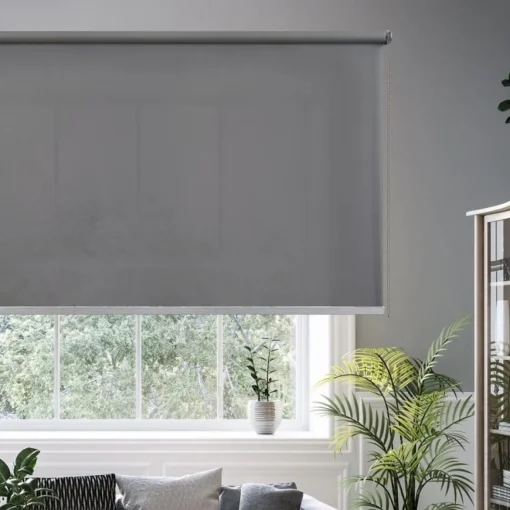 Bissolo Casa Tende Tende A Rullo Da Interno<LINEA CALM - TENDA A RULLO FILTRANTE GRIGIO KOALA 80X250CM: vendita online LINEA CALM - TENDA A RULLO FILTRANTE GRIGIO KOALA 80X250CM in offerta