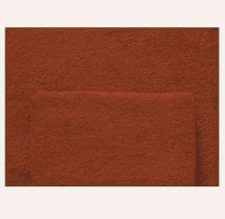 Bissolo Casa Asciugamani Ospite<LINEA SOLID - ASCIUGAMANO OSPITE 40X60CM MATTONE: vendita online LINEA SOLID - ASCIUGAMANO OSPITE 40X60CM MATTONE in offerta