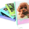 Bissolo Casa Zaini, Astucci E Diari Diari E Agende<NOTABENE - DIARIO 12 MESI SWEET PETS 13X17,8 CM ASSORTITO: vendita online NOTABENE - DIARIO 12 MESI SWEET PETS 13X17,8 CM ASSORTITO in offerta