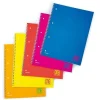 Bissolo Casa Quaderni E Blocchi Quaderni Ad Anelli<ONE COLOR - QUADERNO AD ANELLI FLUO 60 FOGLI A4+ QUADRETTI ASS.: vendita online ONE COLOR - QUADERNO AD ANELLI FLUO 60 FOGLI A4+ QUADRETTI ASS. in offerta