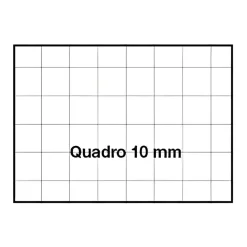 Bissolo Casa Quaderni E Blocchi Quaderni<ONE COLOR - QUADERNO MAXI COLORCLUB A4 20+1 FOGLI QUADRETTI GRANDI ASSORTITO: vendita online ONE COLOR - QUADERNO MAXI COLORCLUB A4 20+1 FOGLI QUADRETTI GRANDI ASSORTITO in offerta